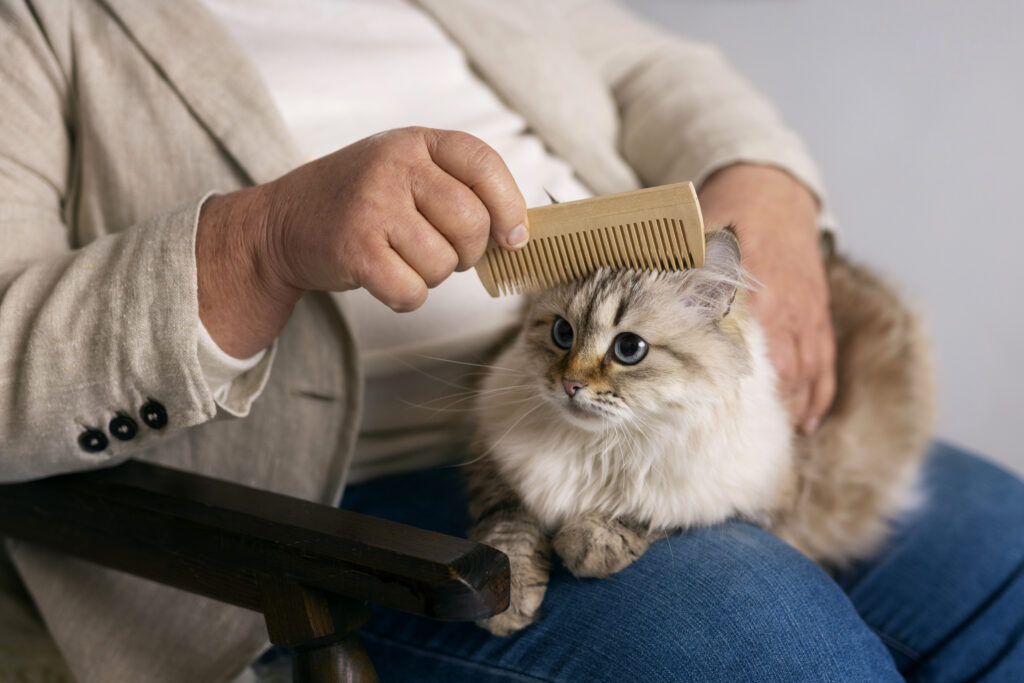 why-is-my-cat-shedding-so-much-unveiling-the-furry-mystery-and